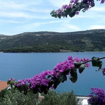 Appartement Rincic Marina