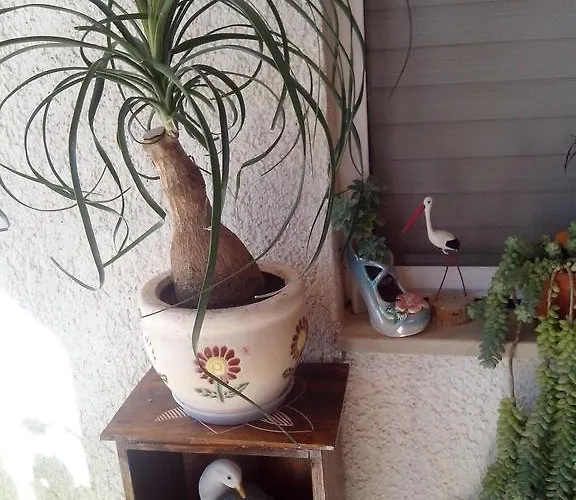 Apartamento Rincic *